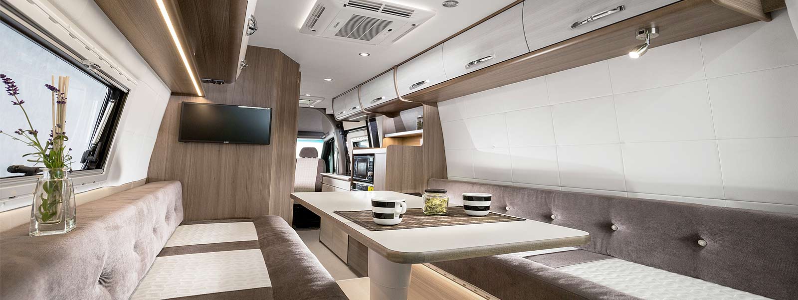 Bravia Swan 699 Van